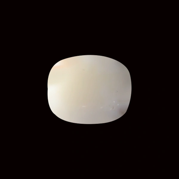 White Coral - 5.69 carats